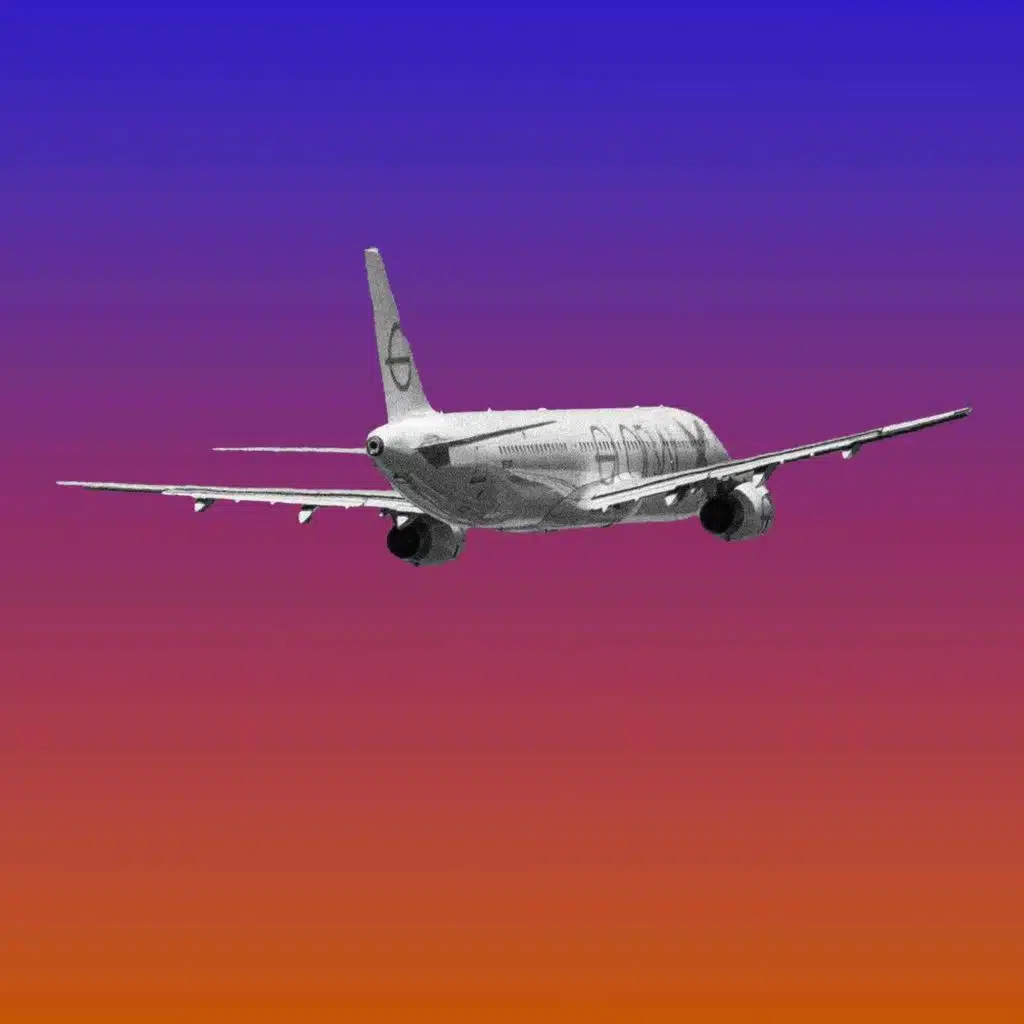 What Next - Deported—To a Country You've Never Been To