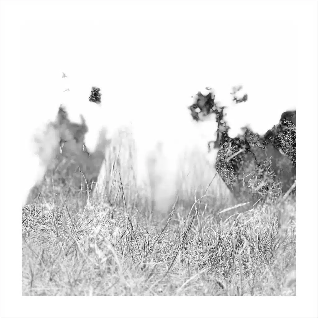 24 Meditations: XVIII. Lento