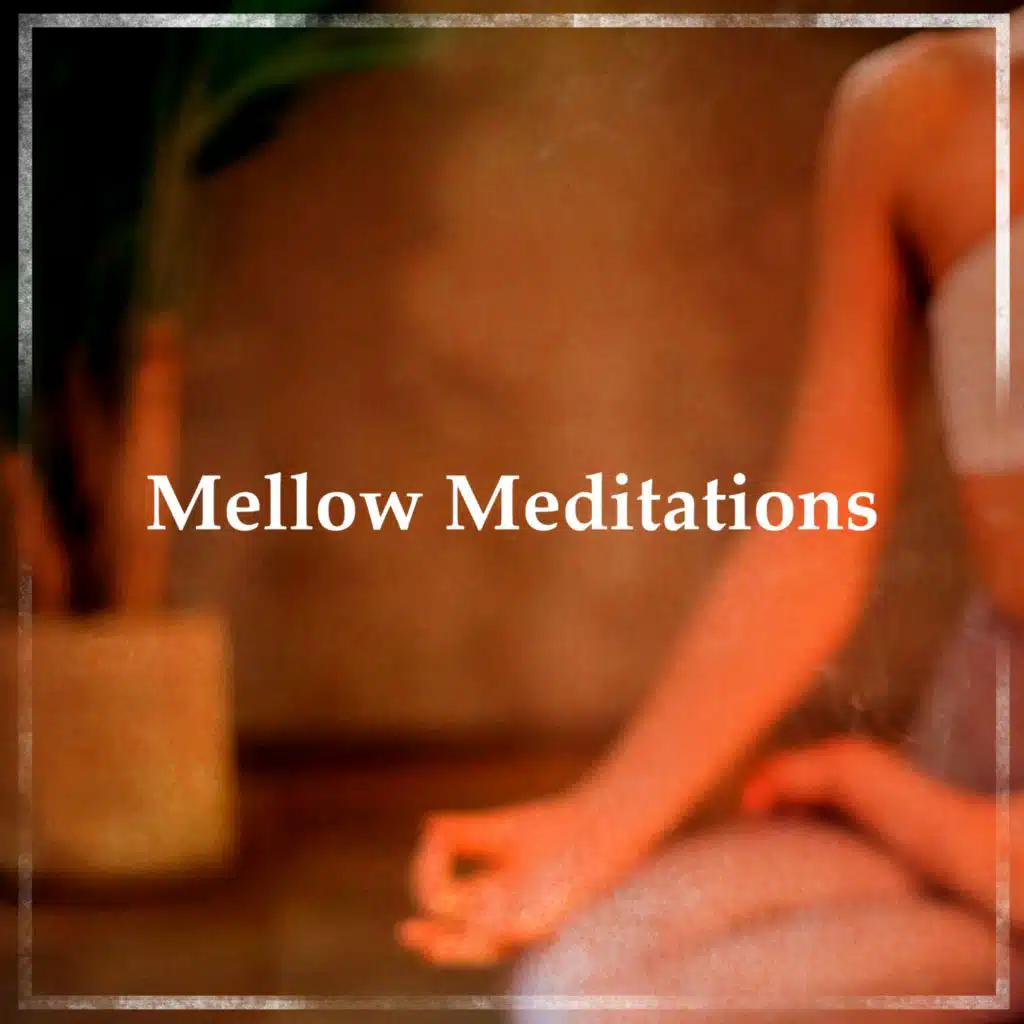 Meditation Peace Movement