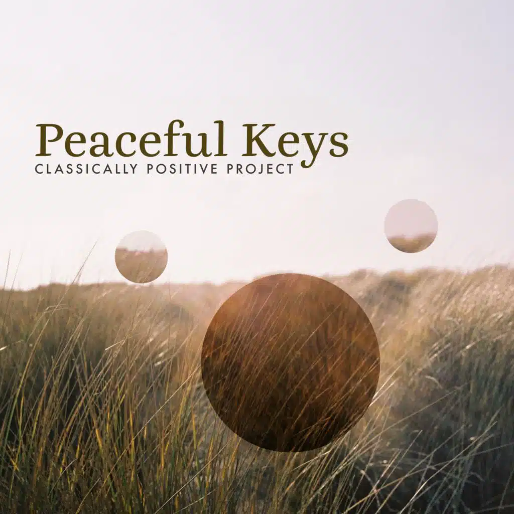 Classically Positive Project