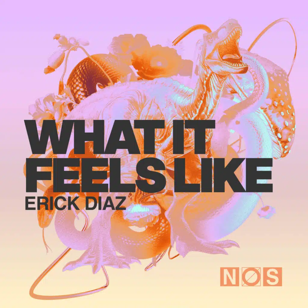 What It Feels Like (feat. Erick Diaz)
