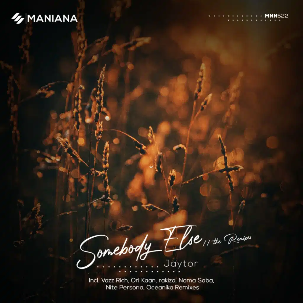 Somebody Else // The Remixes