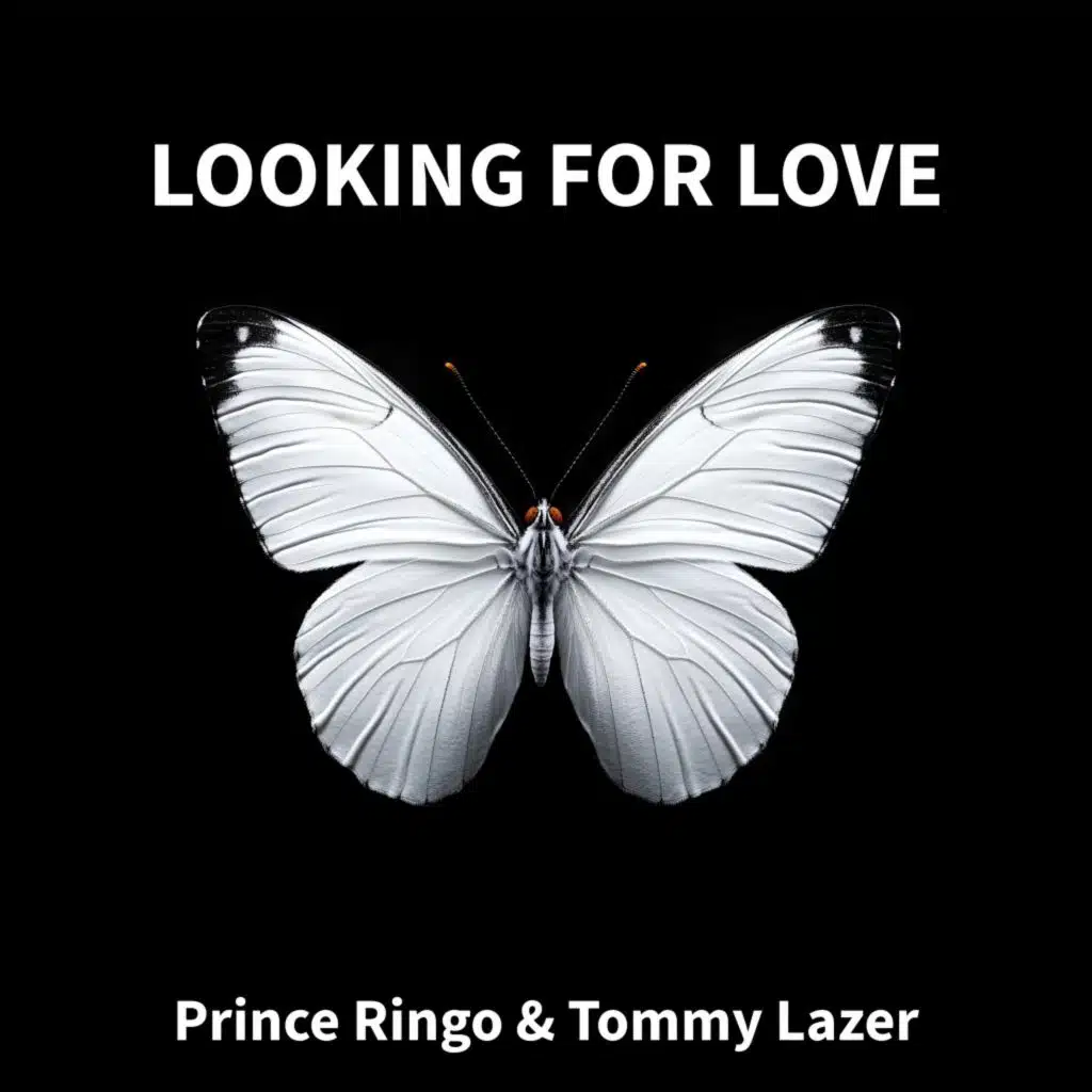 Prince Ringo & Tommy Lazer