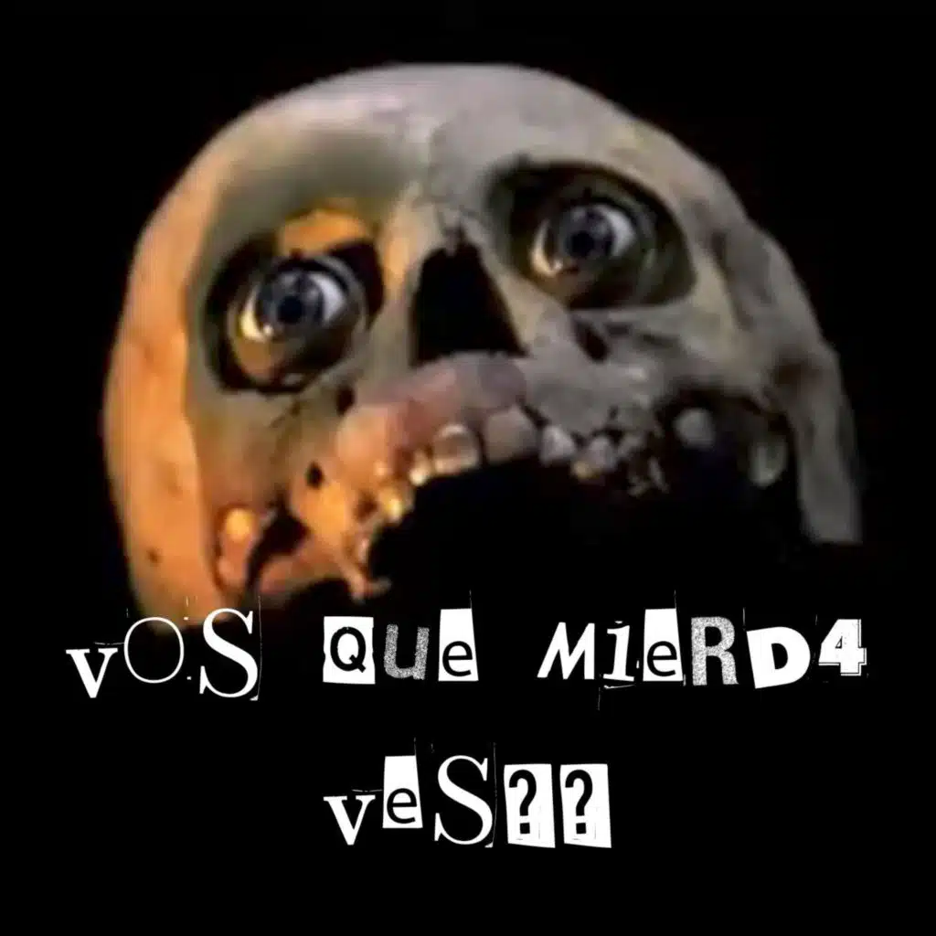 VOS QUE M1ERD4 VES??