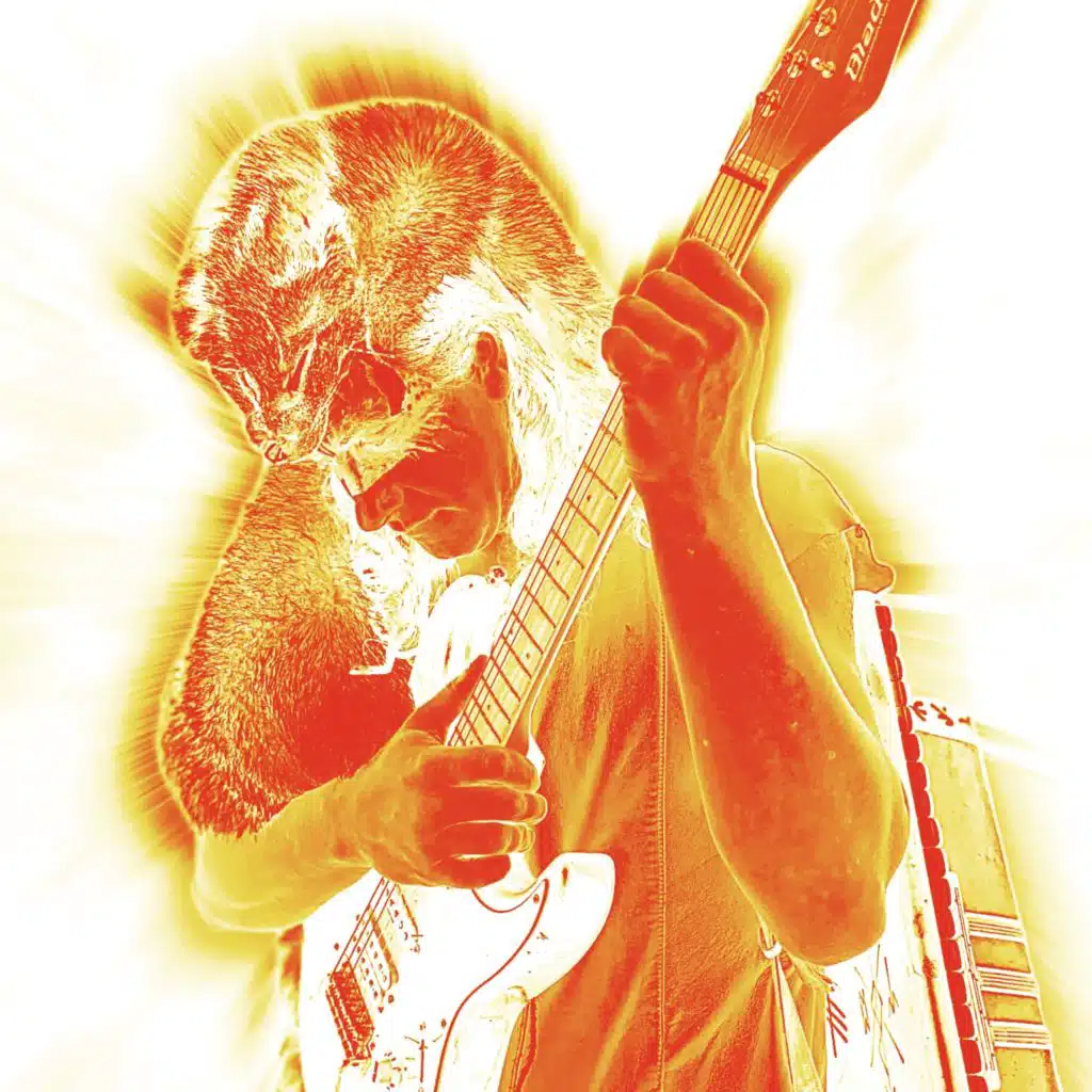 My fox is the best 2008