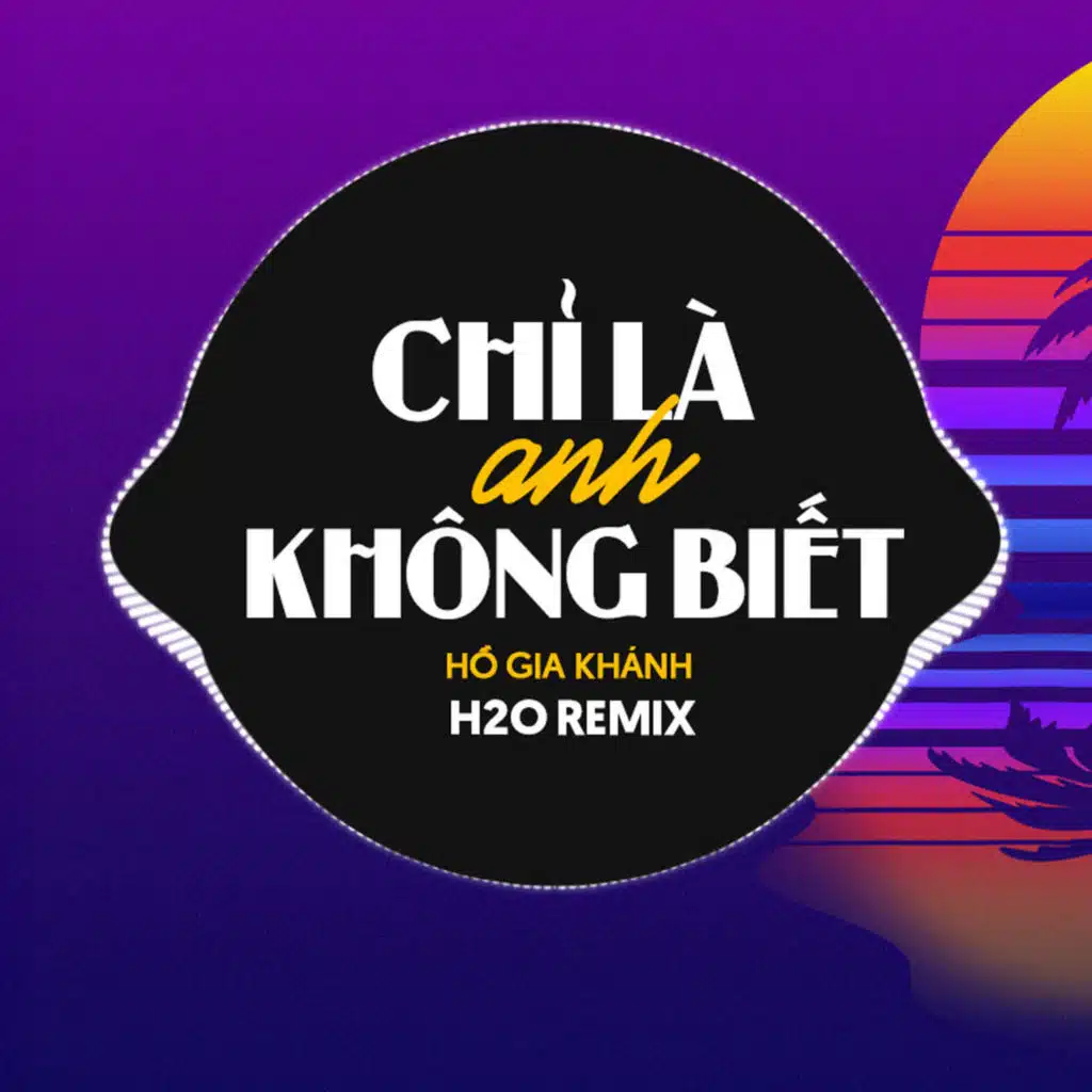 Chỉ Là Anh Không Biết (Remix Vinahouse)