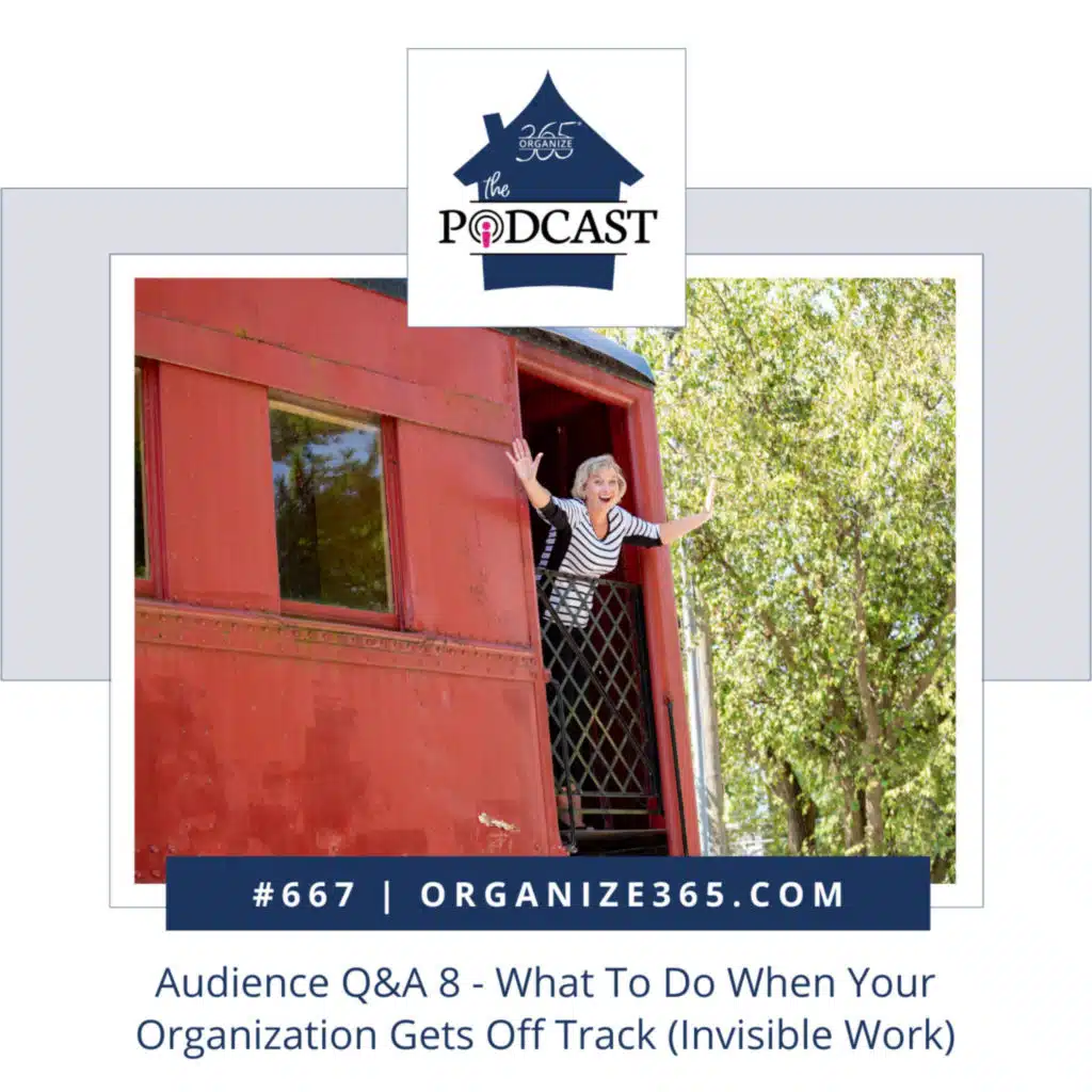 667 - Audience Q&A 8 - What To Do When Your Organization Gets Off Track (Invisible Work)