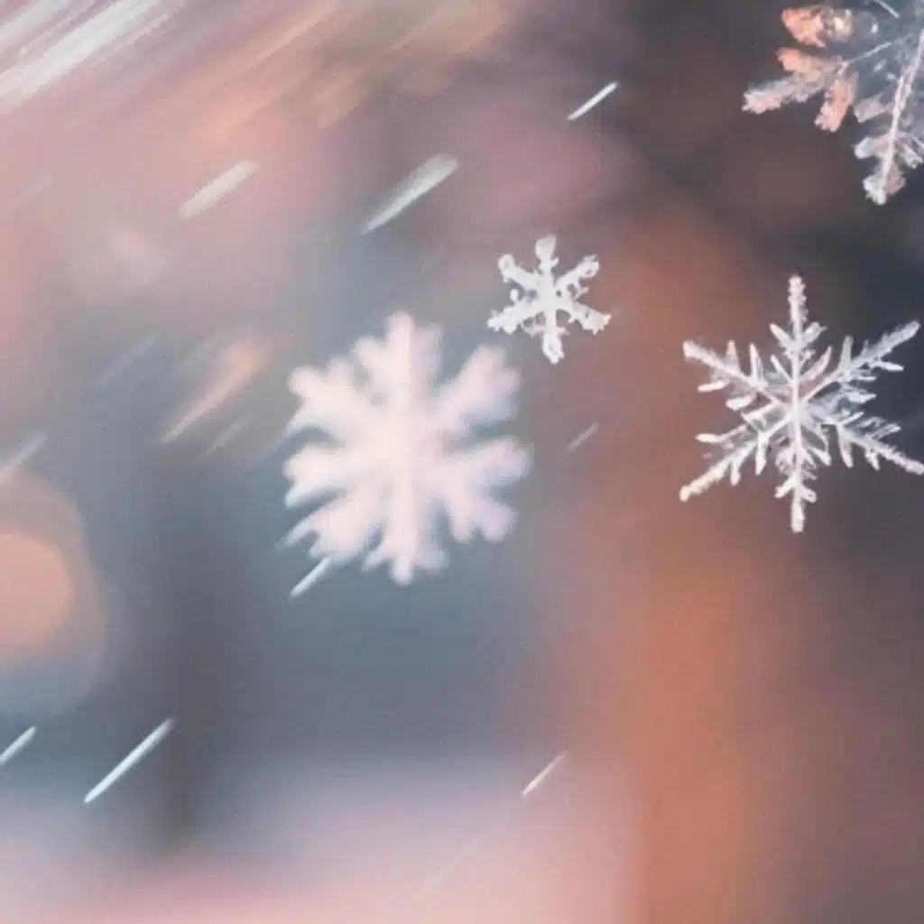 Winter Set