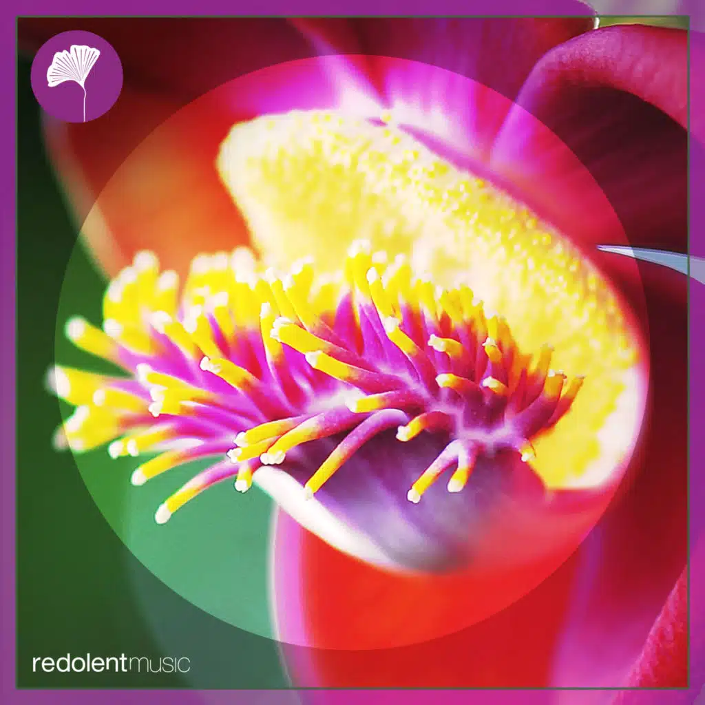 Jochen Pash & Bodean