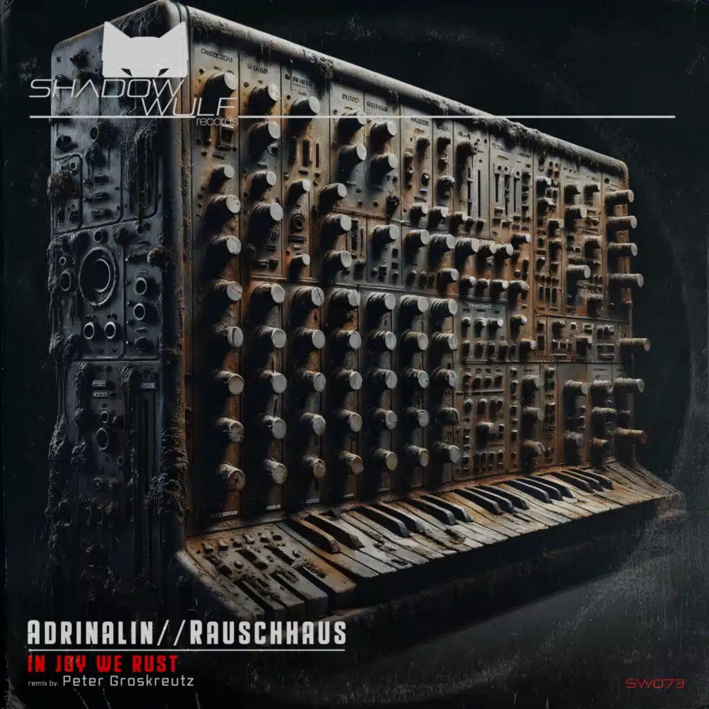 In Joy We Rust (Peter Groskreutz Remix)