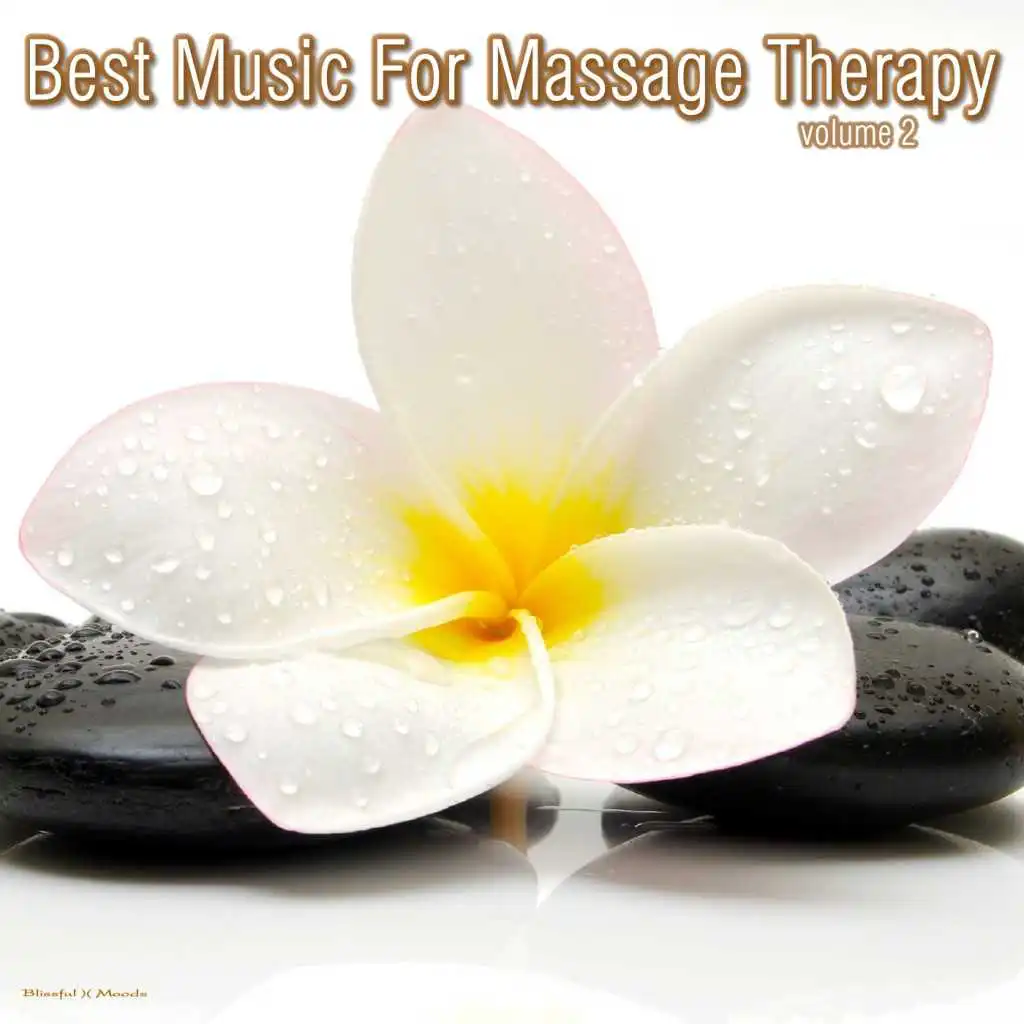 Best Music for Massage Therapy, Vol. 2