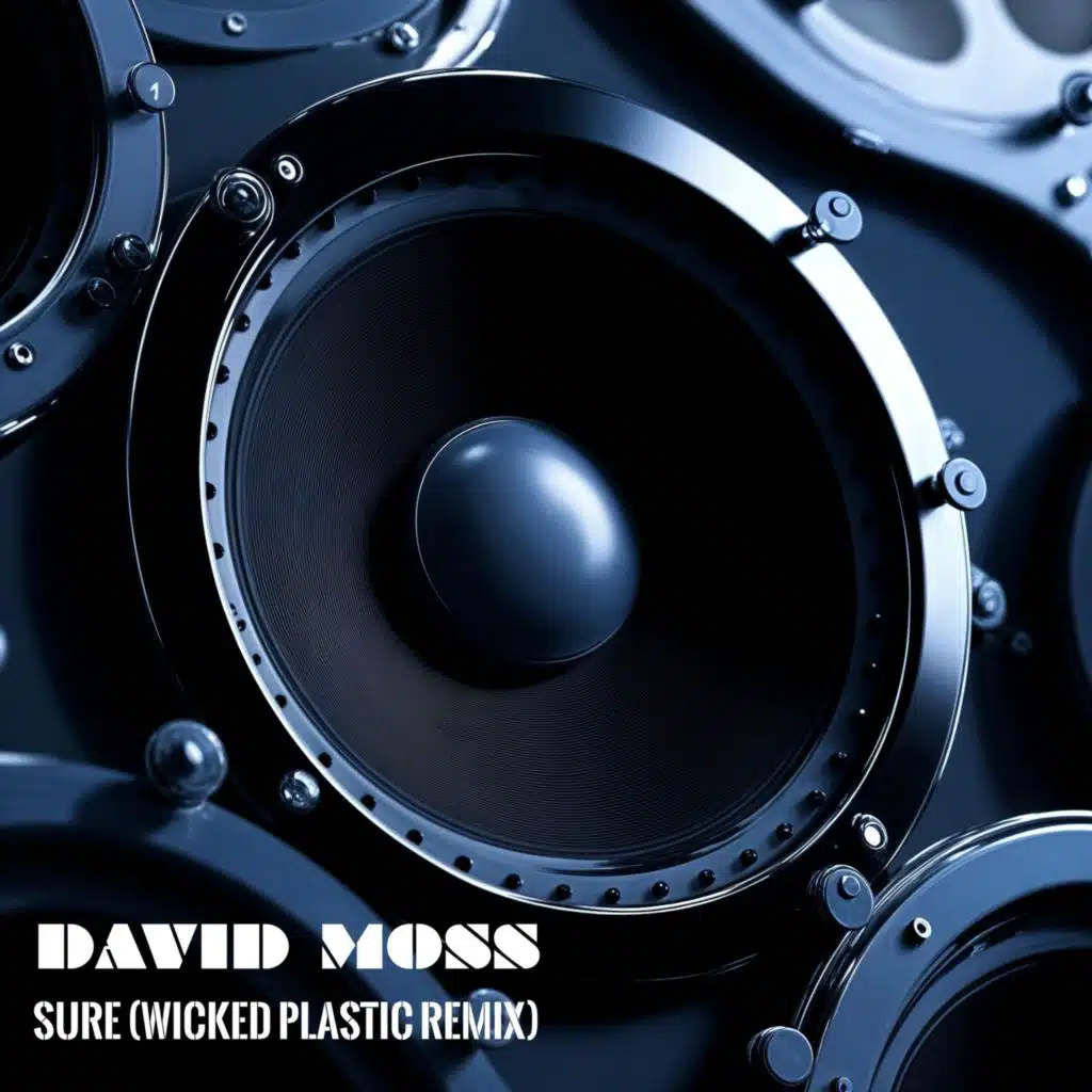 Sure (Wicked Plastic Remix)
