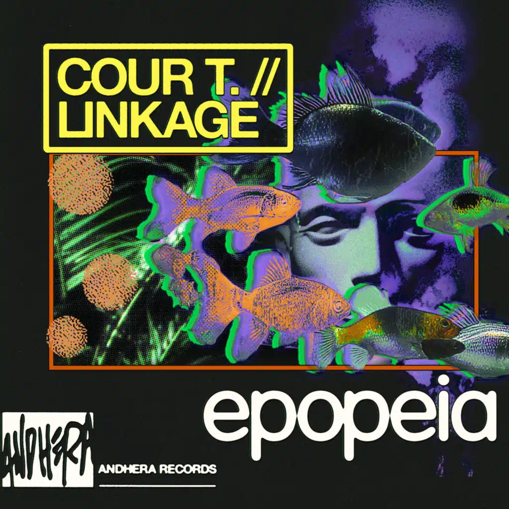 Cour T., Linkage