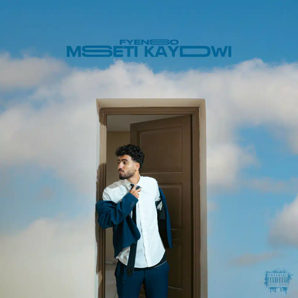 Mseti kaydwi