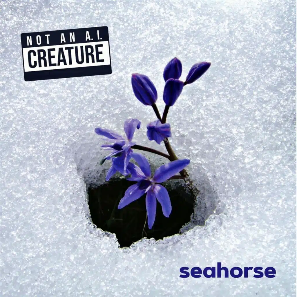 Seahorse