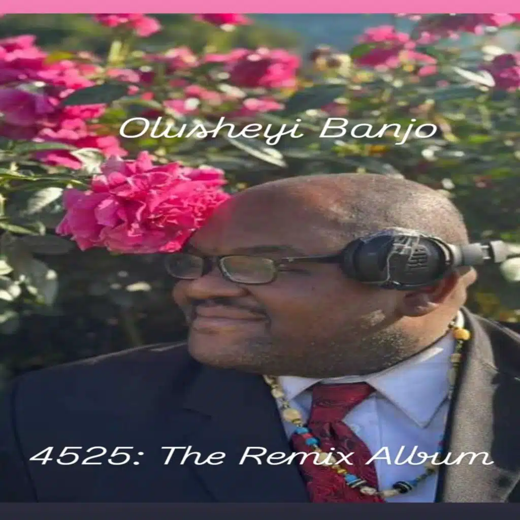 4525: The Remix Album