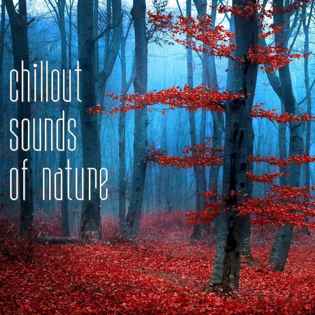 The Sura Quintet inv. Joe F.