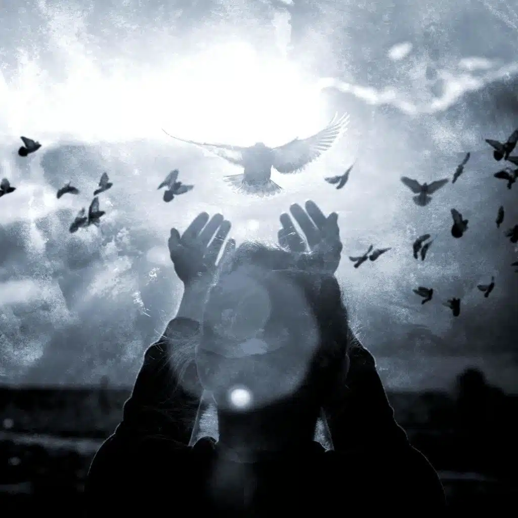 Forgive, Never Forget