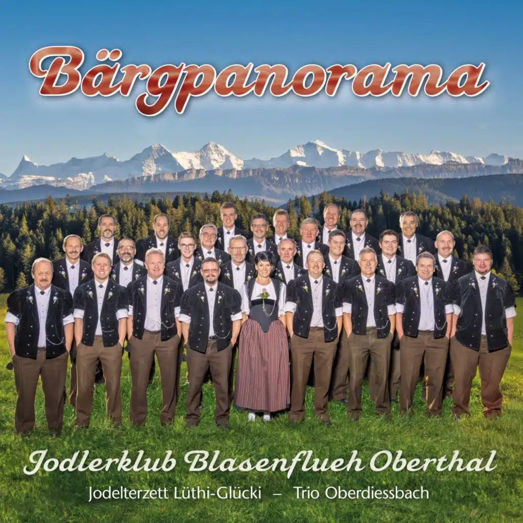 Bärgpanorama