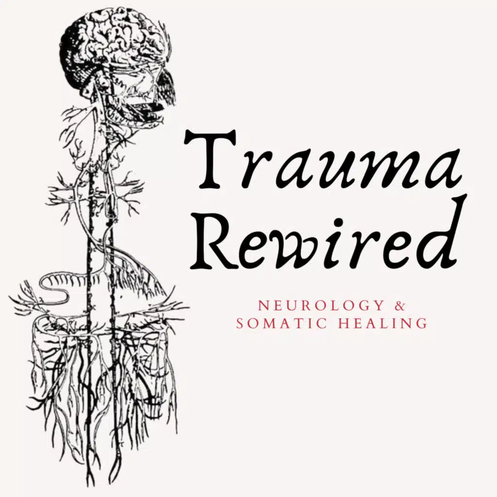 The Neuroscience Behind Chronic Pain and Trauma