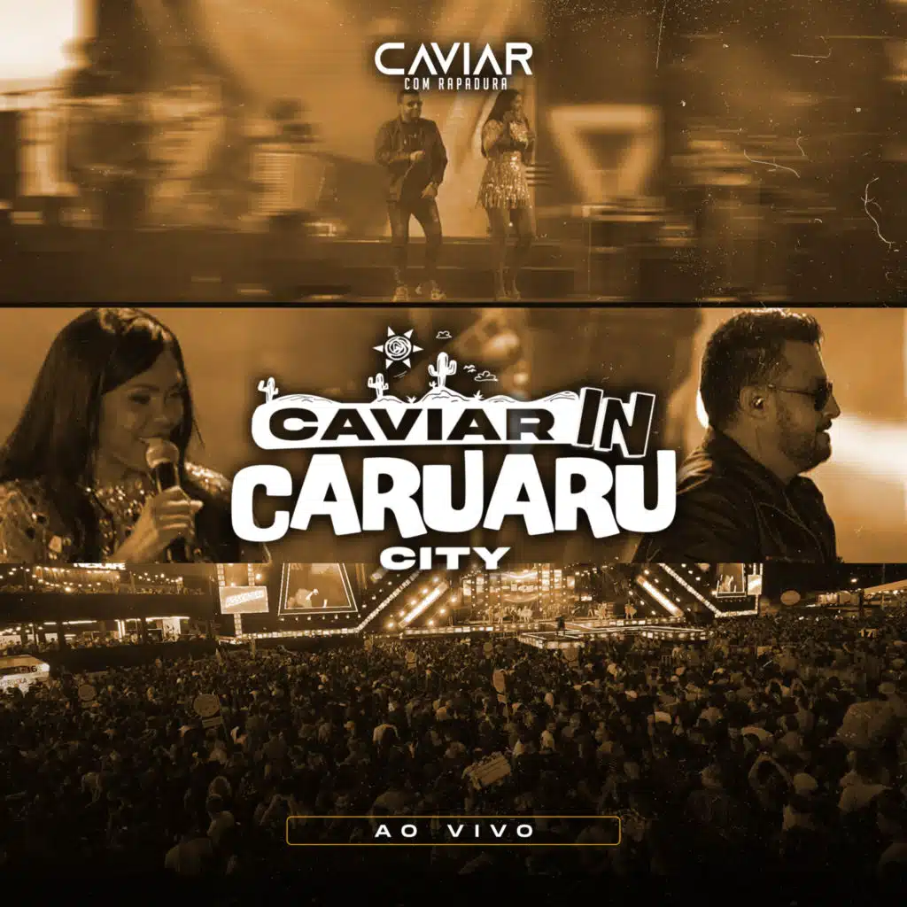 Viver por Você (Ao Vivo)