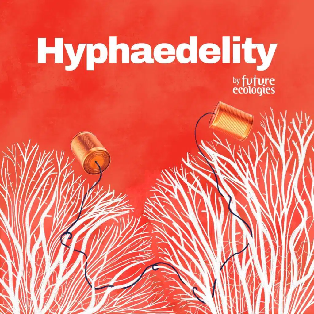 [HYPHAEDELITY] Adam Davis x Tim Male — Non-partisan Environmental Policy