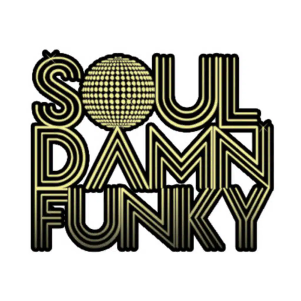 Soul Damn Funky Presents New York Classics, Vol. 1