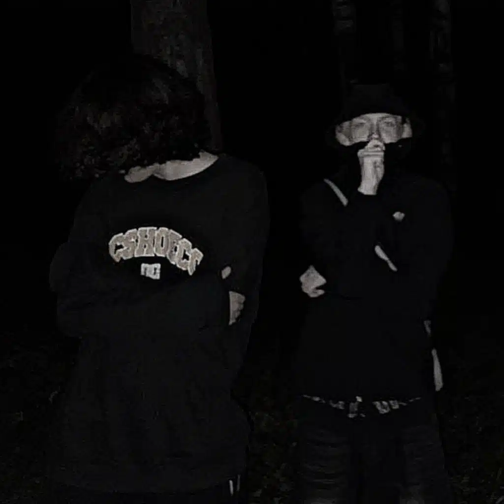 ov3rdosed & teikoowtf