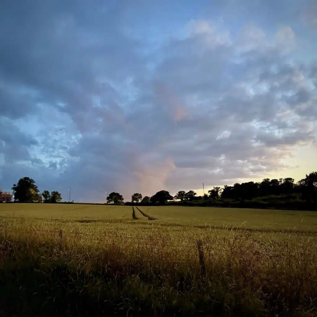 jaackson & Mondo Loops