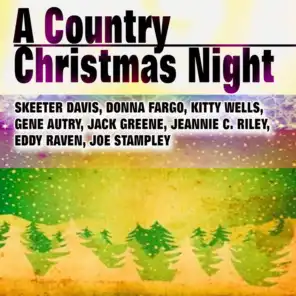 A Country Christmas Night