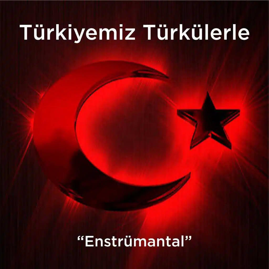 Türkiyemiz Türkülerle