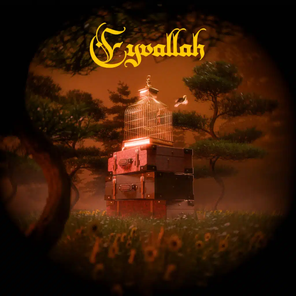 Eyvallah
