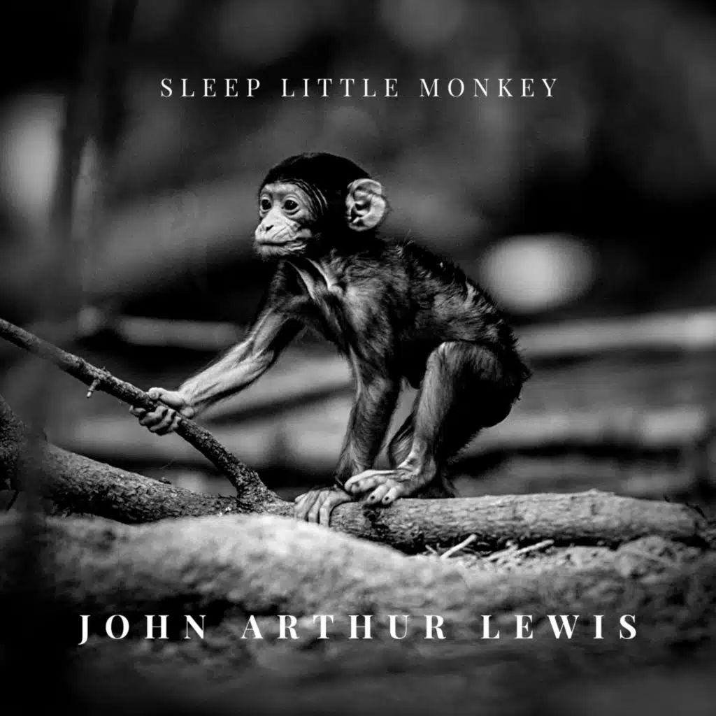 Sleep Little Monkey