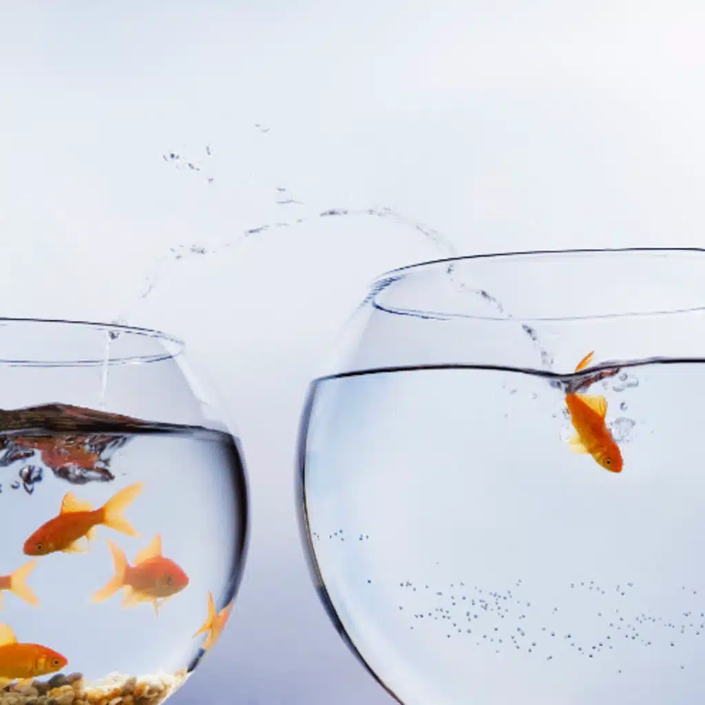 Exile - Adam Kohlstrom