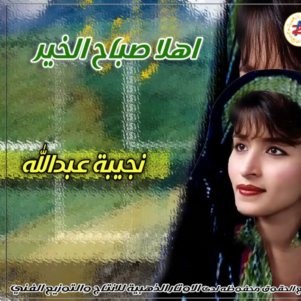 نجيبة عبدالله