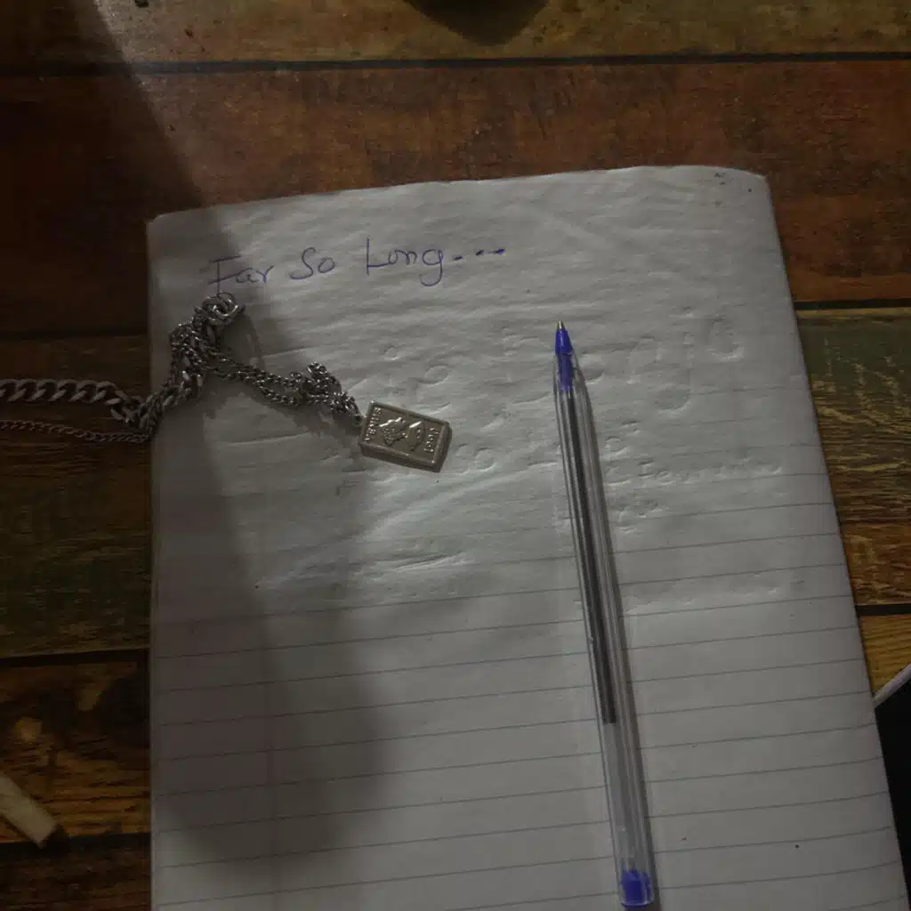 Far So Long (feat. Leyla)