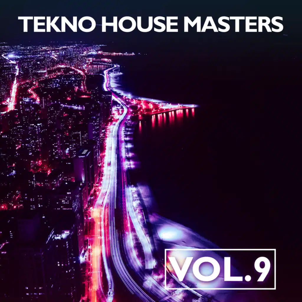 Tekno House Masters, Vol. 9