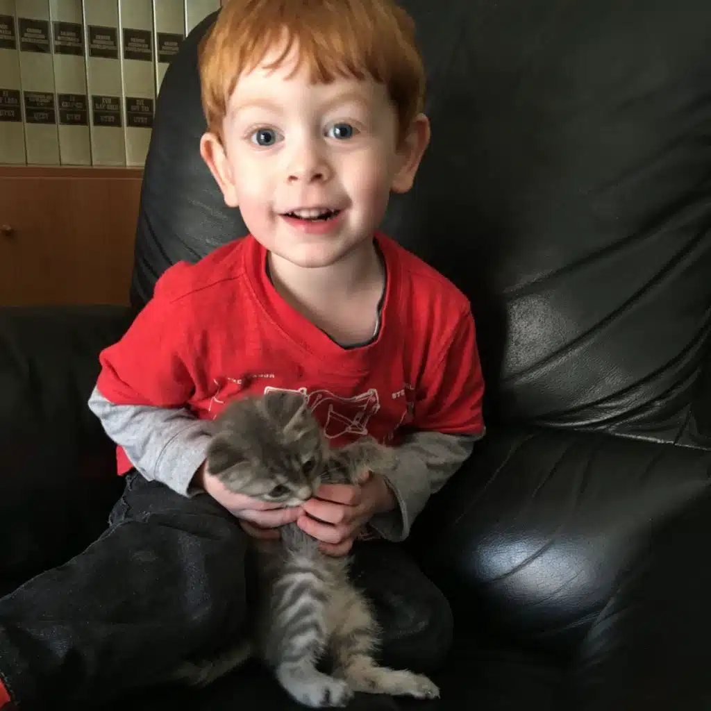 Bittersweet Peek: The First Pet