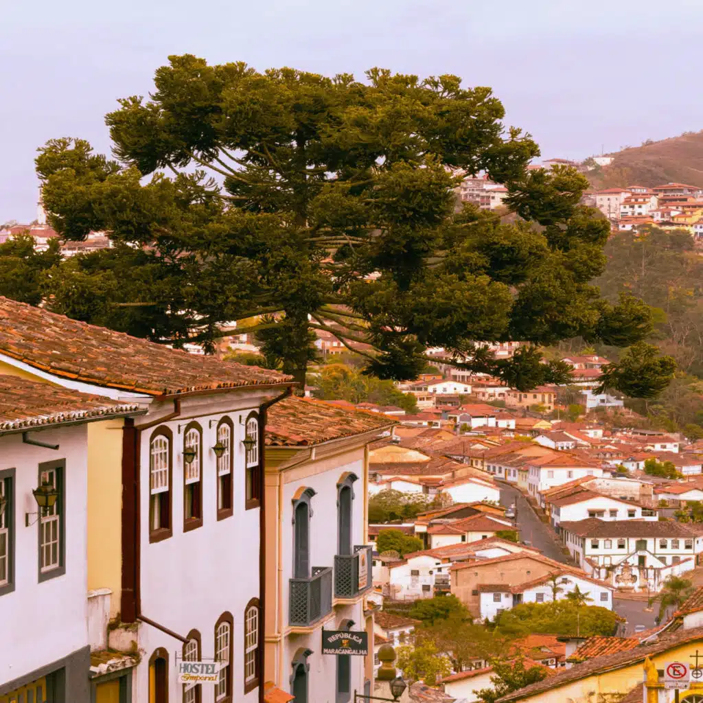 Antonia Medeiros & Ordinarius