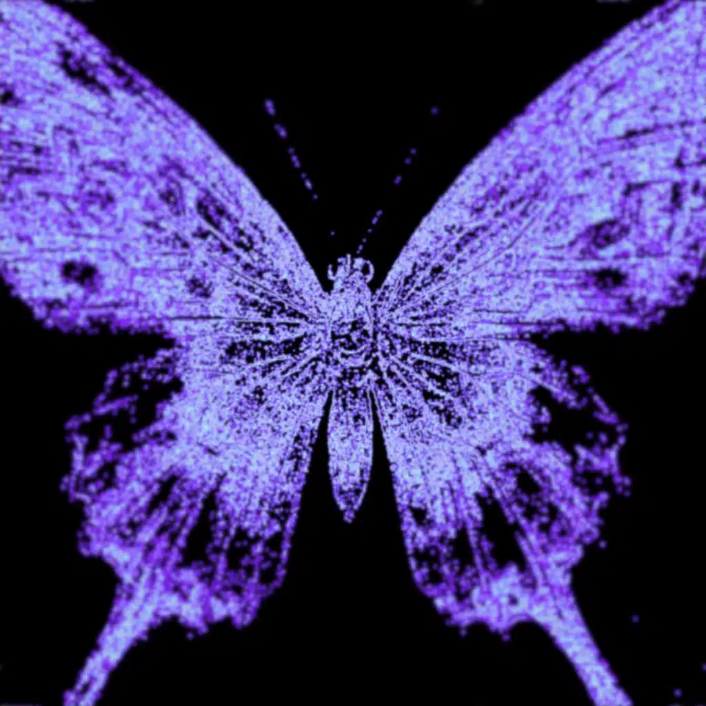 Contradiction's Quilted Embrace