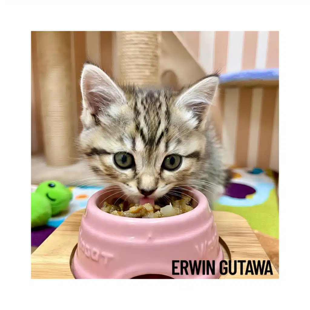 Erwin Gutawa