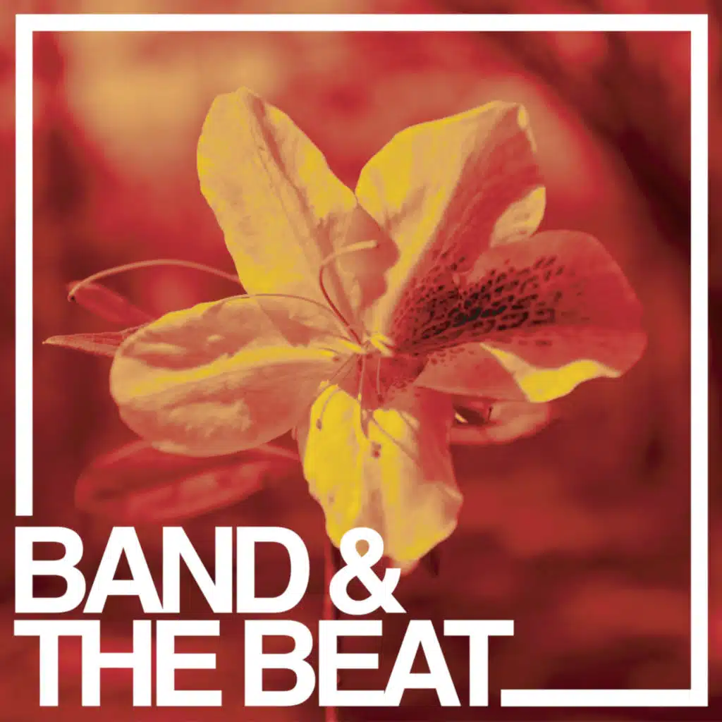 Straight and Narrow (feat. Tracy Shedd)