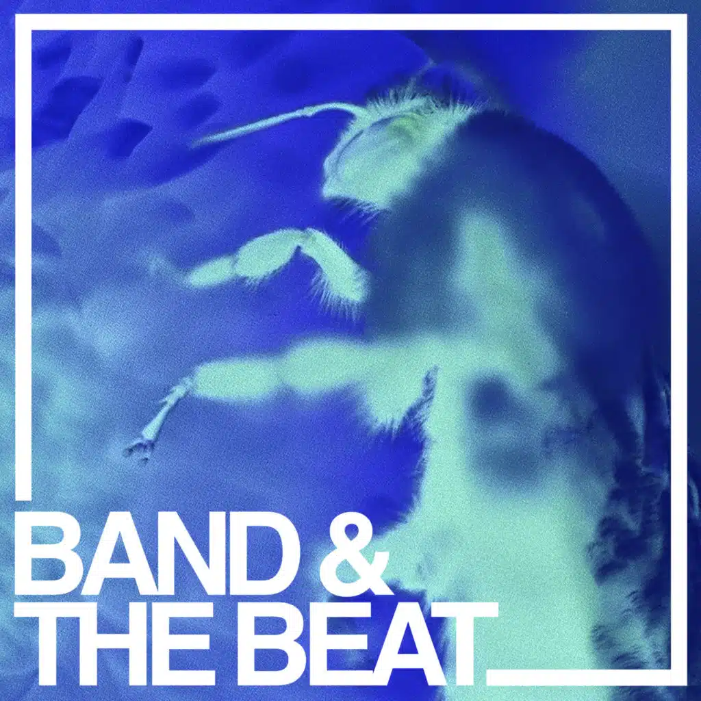 Band & The Beat