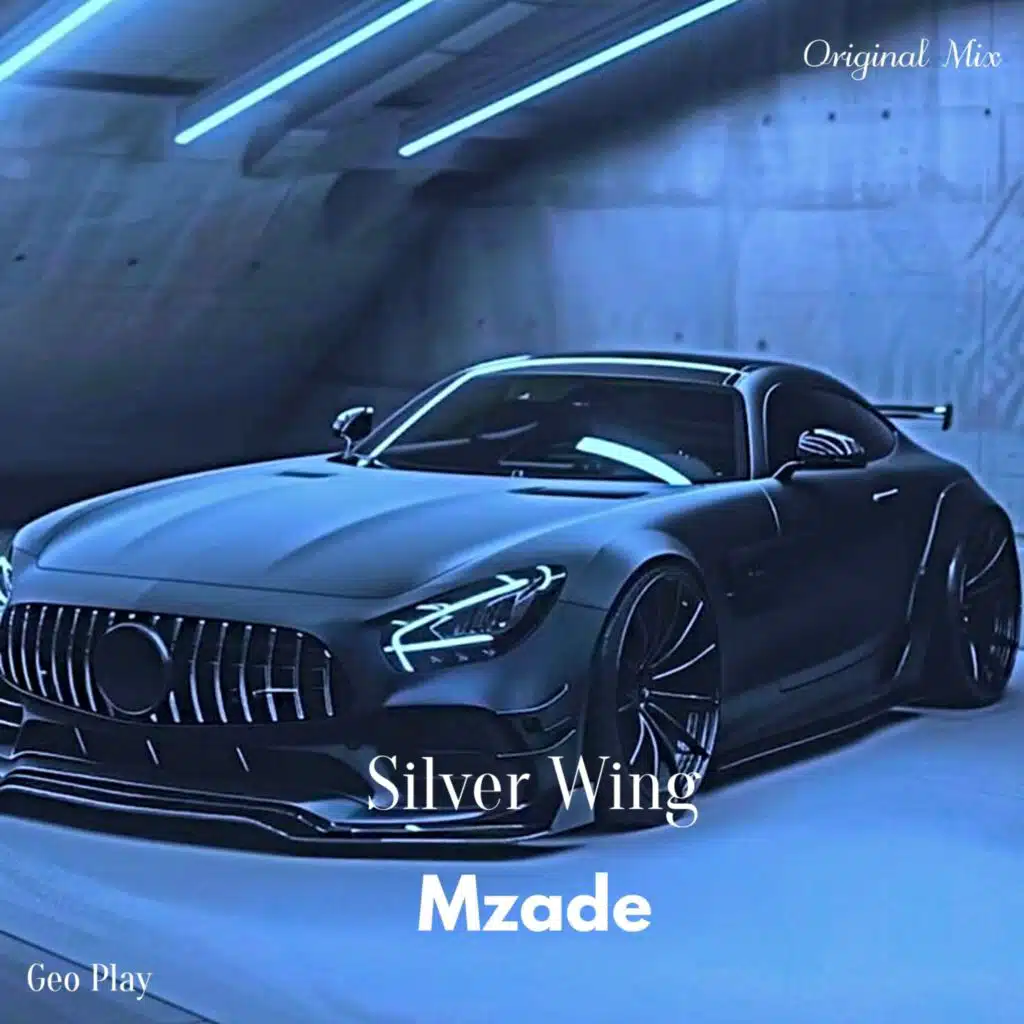 Silver Wing