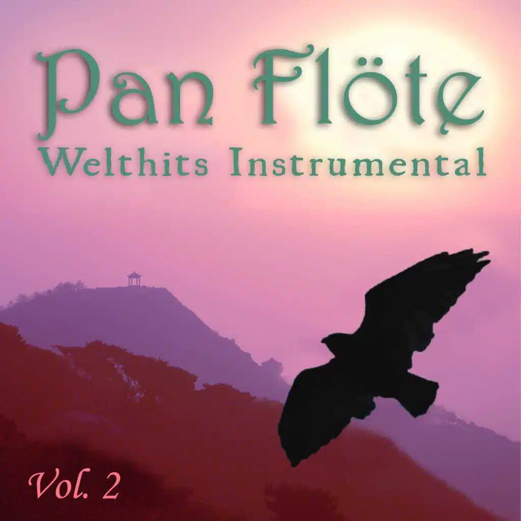 Welthits Instrumental, Vol. 2