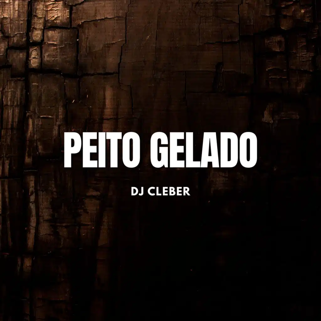 DJ CLEBER