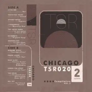 Twosyllable Records Chicago Cassette Compilation, Vol. 2