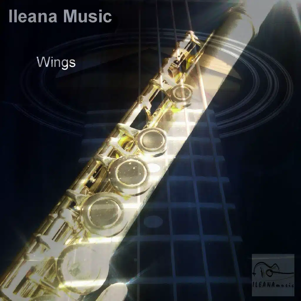 Wings