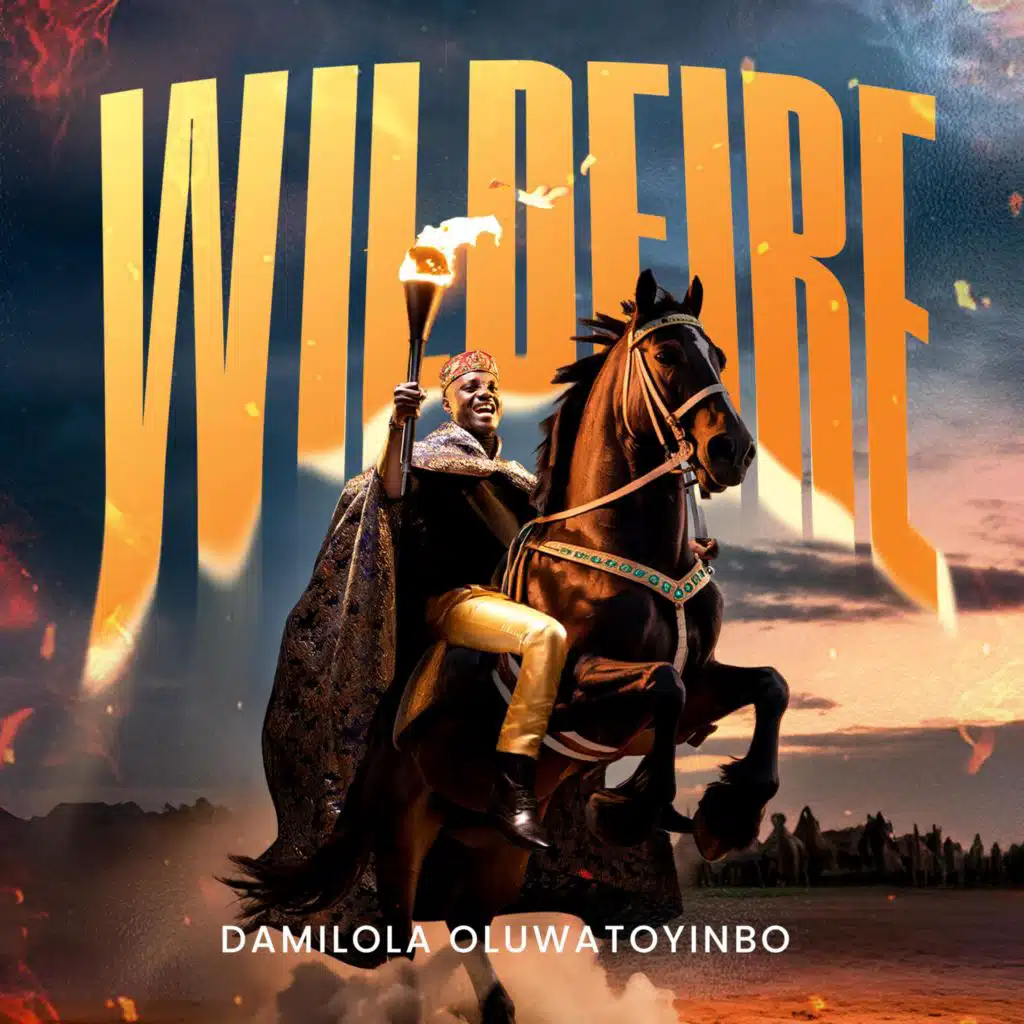 Damilola Oluwatoyinbo