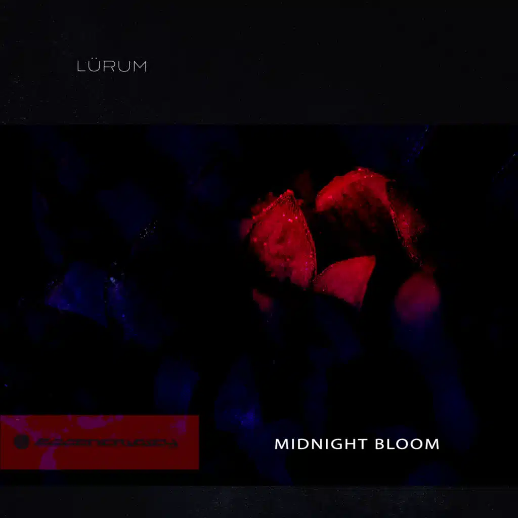 Midnight Bloom